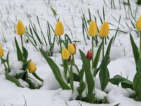 Афиша мероприятий на апрель